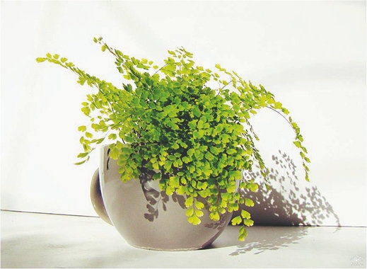 【揚(yáng)州綠之源環(huán)?！坑袡C(jī)廢氣處理，我們不曾懈怠