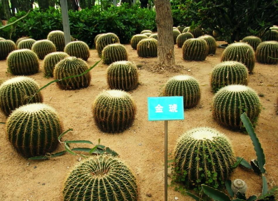 【揚(yáng)州綠之源環(huán)?！客苛系刃袠I(yè)迎來VOCs廢氣治理風(fēng)暴