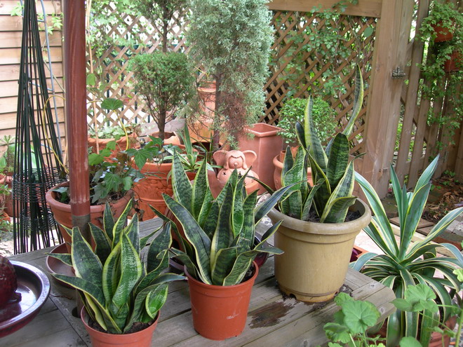 【揚(yáng)州綠之源環(huán)?！縑OCs廢氣治理知識大科普