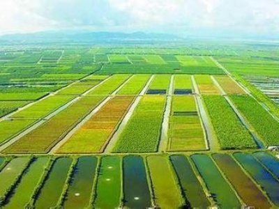 【揚(yáng)州綠之源環(huán)?！科髽I(yè)如何選擇最佳VOCs廢氣治理技術(shù)