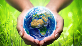 【揚(yáng)州綠之源環(huán)?！炕钚蕴吭谟袡C(jī)廢氣處理中的應(yīng)用